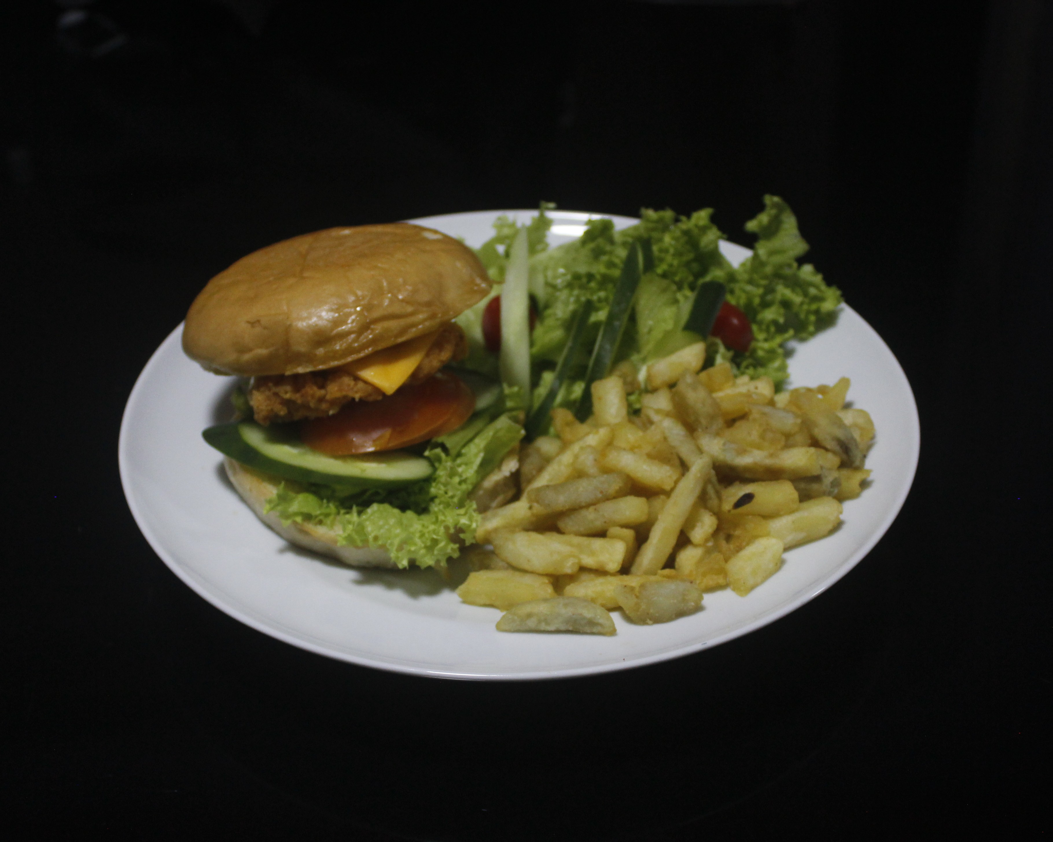 Spicy Crispy Chicken Burger_0