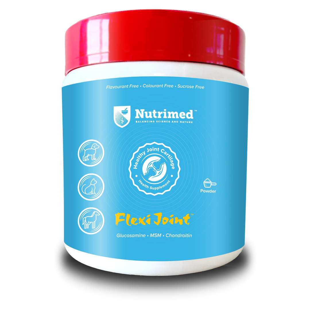 SafriPharma Joint Support - Flexi Joint