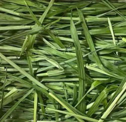 1 For 1 Bundle! Premium Black Rye Hay For Rabbits & Small Animals (35g + 35g) 