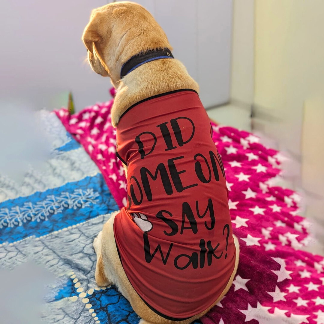 Dog Summer Garments