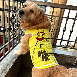 PET TSHIRT TEDDY PRINT  