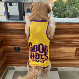 DOG SUMMER GARMET  