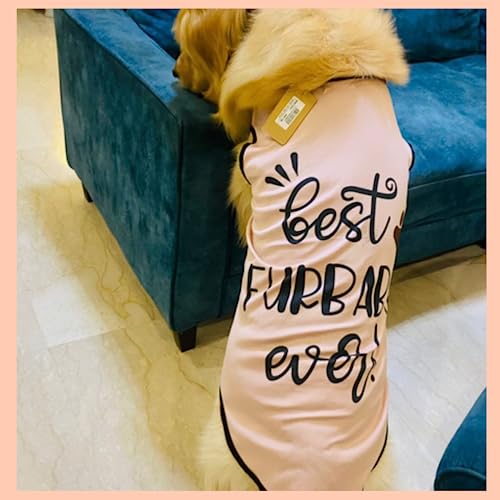 Lulala Dog Summer Tshirt