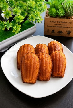 Madeleine 