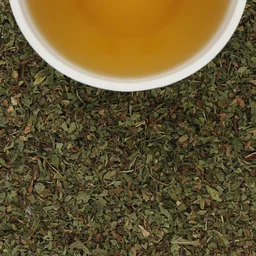 Moroccan Peppermint
