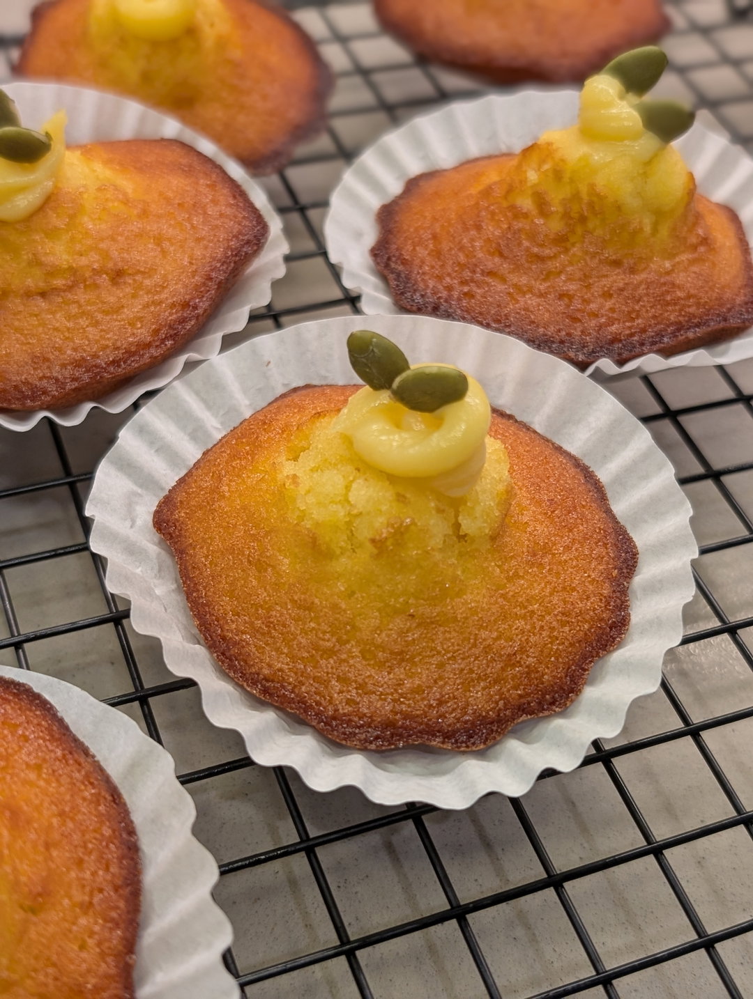 Lemon Curd Yuzu Madeleines (box of 9)