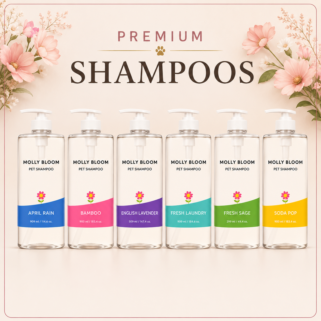 MOLLY BLOOM - Shampoo 1000ml