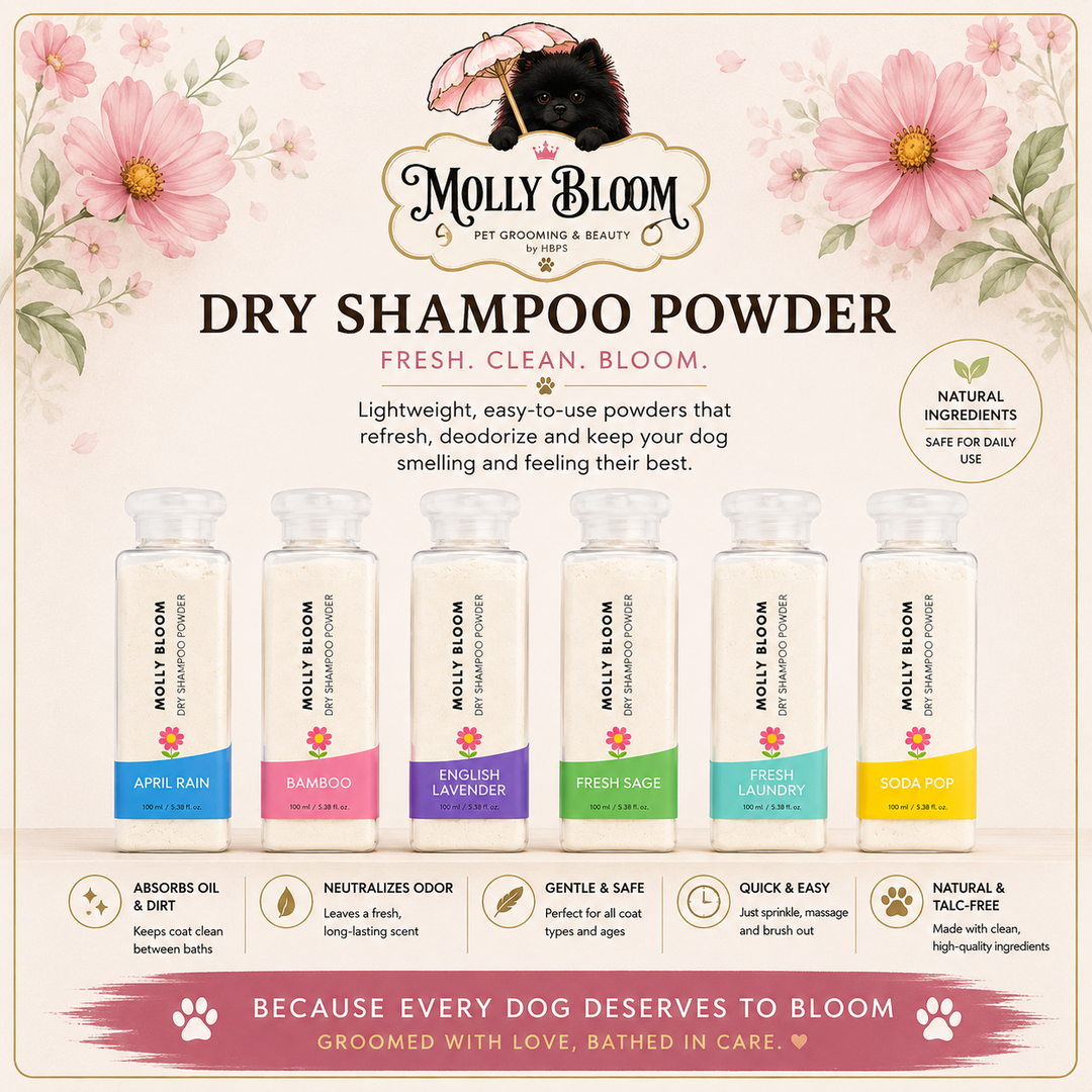 MOLLY BLOOM - Dry Shampoo Powder