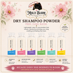 MOLLY BLOOM - Dry Shampoo Powder