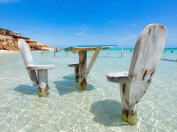 Orange Bay Island Snorkeling Trip 🏝️