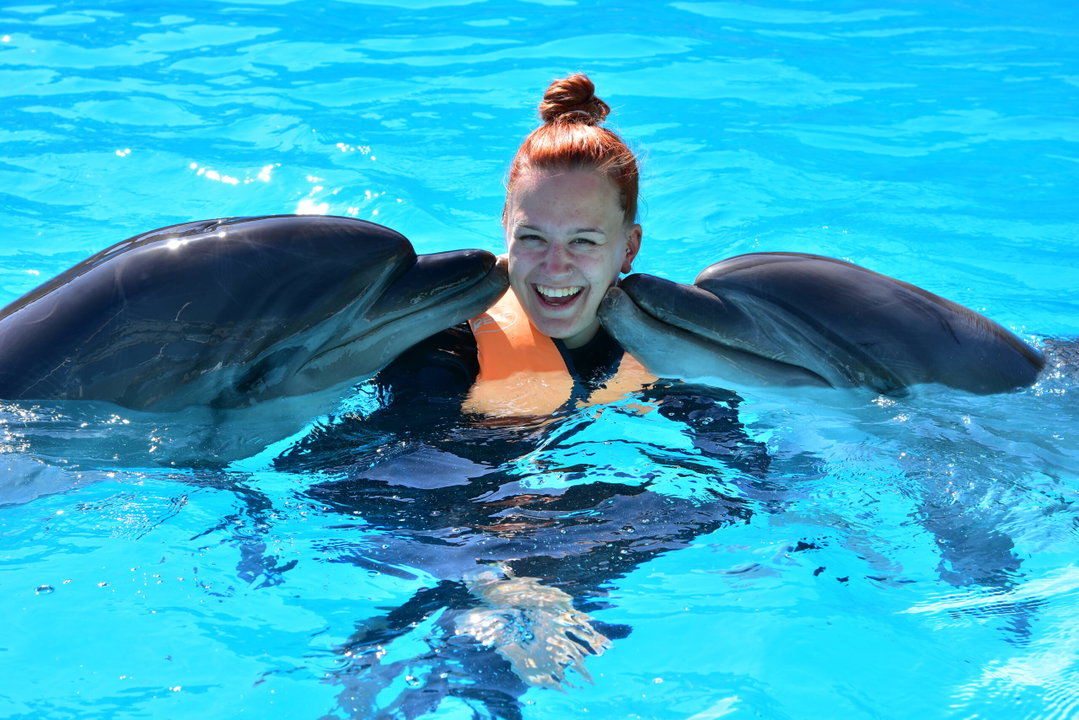  Dolphin House Snorkeling Trip 🐬