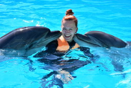  Dolphin House Snorkeling Trip 🐬