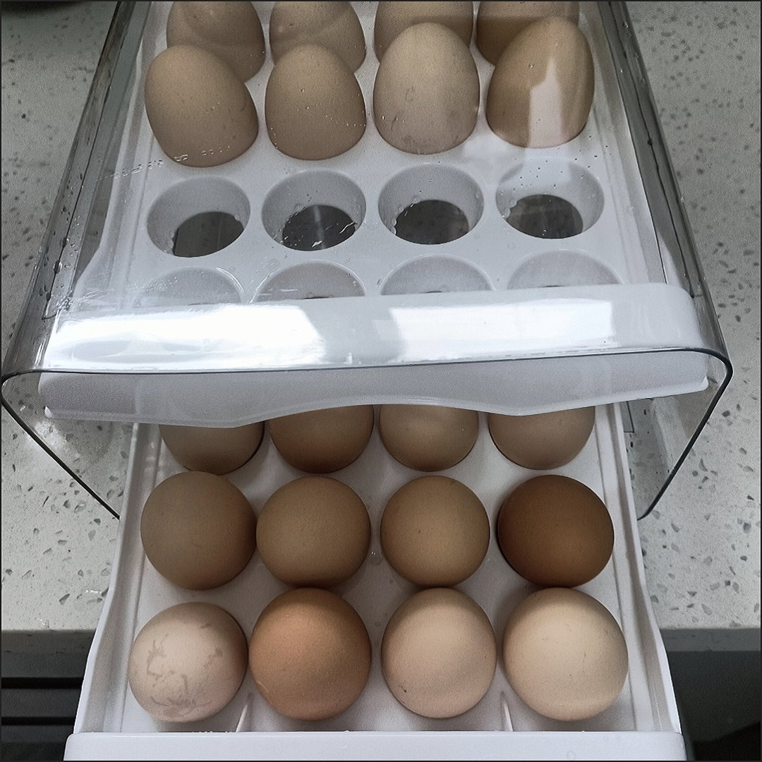 🔥🔥 DRAWER TYPE EGG CARTON 🔥🔥_1