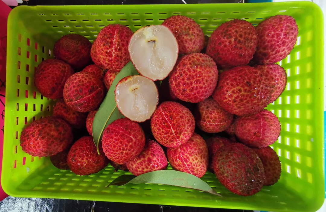 Hainan Seedless Lychee