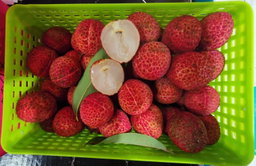 Hainan Seedless Lychee