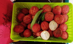 Hainan Seedless Lychee