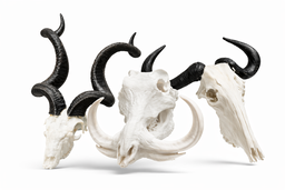 Skull/Hooks sets