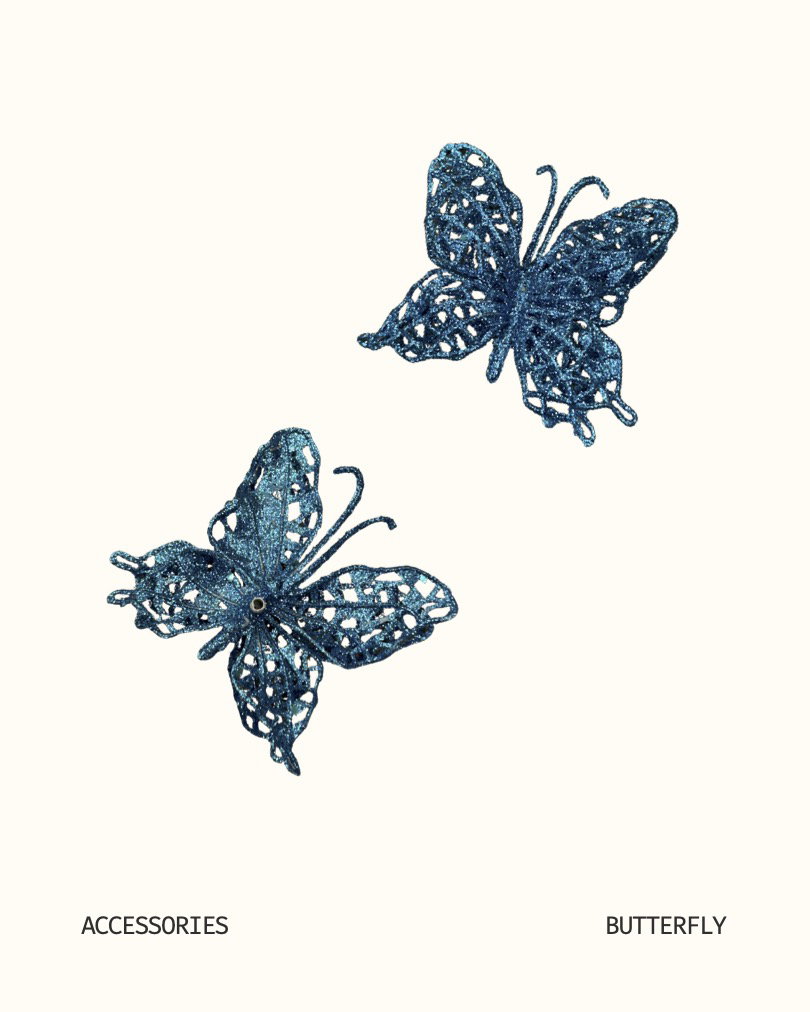 Accessories_1