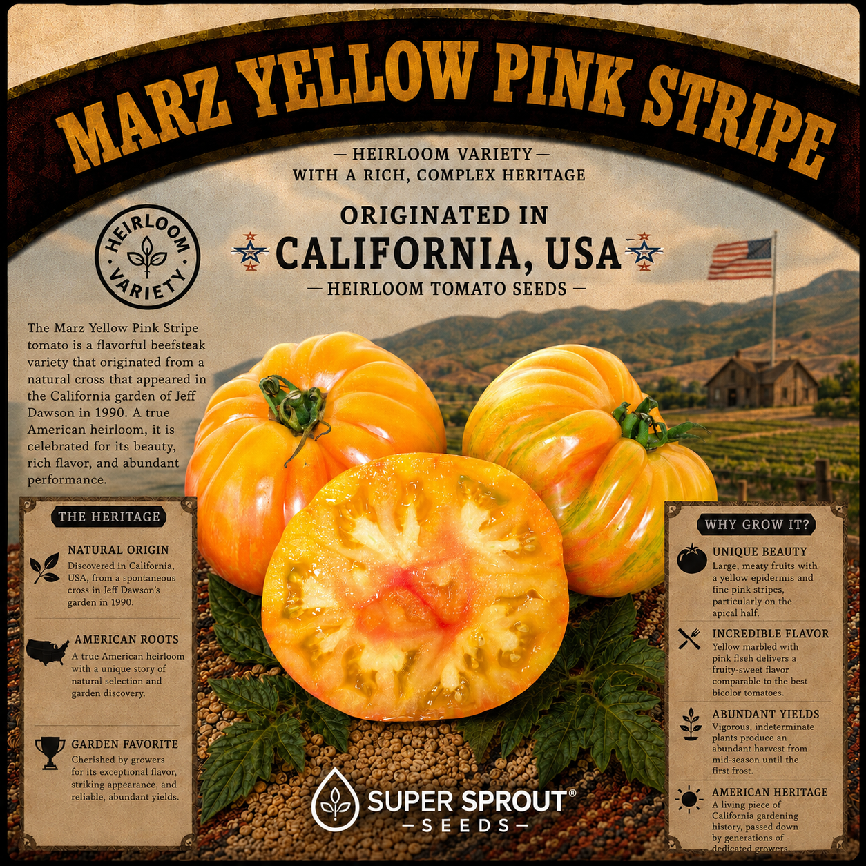 🍅MARZ YELLOW PINK STRIPE BEEFSTEAK🍅 x 15 organic seeds_1