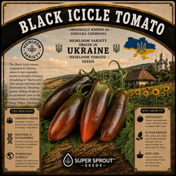 🍅BLACK ICICLE TOMATO 🍅 x 10+ seeds