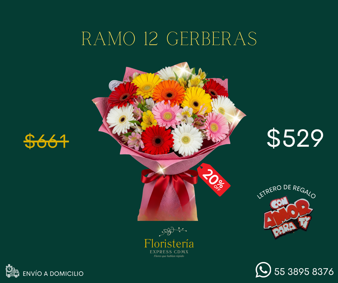 Ramo 12 gerberas
