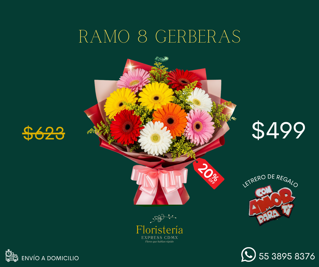 Ramo 8 gerberas