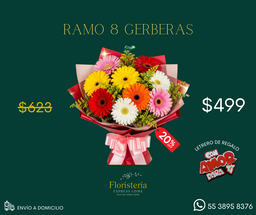 Ramo 8 gerberas