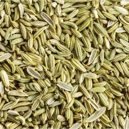 Fennel Seed | Jintan Manis (biji/serbuk)