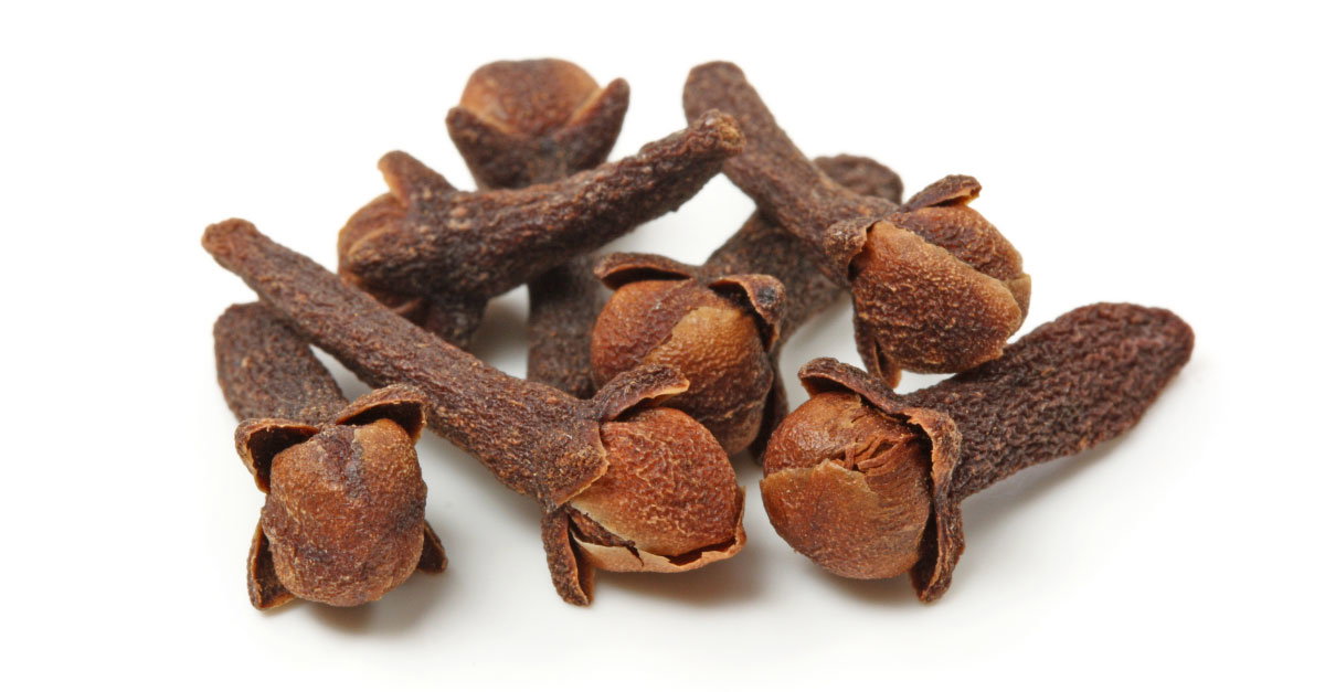 Clove | Bunga Cengkih_0
