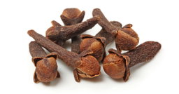 Clove | Bunga Cengkih