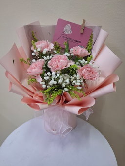 Mothers Day Set - Carnation