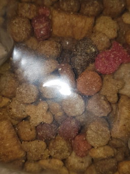 Quality mixed cat food 