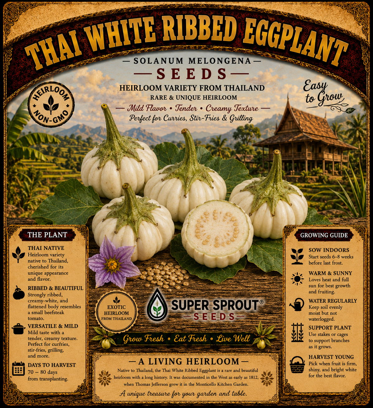 🍆THAI WHITE RIBBED EGGPLANT🍆 x 15 seeds ⁸_1