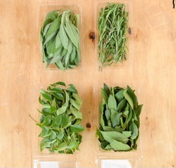 30g Organic Sage