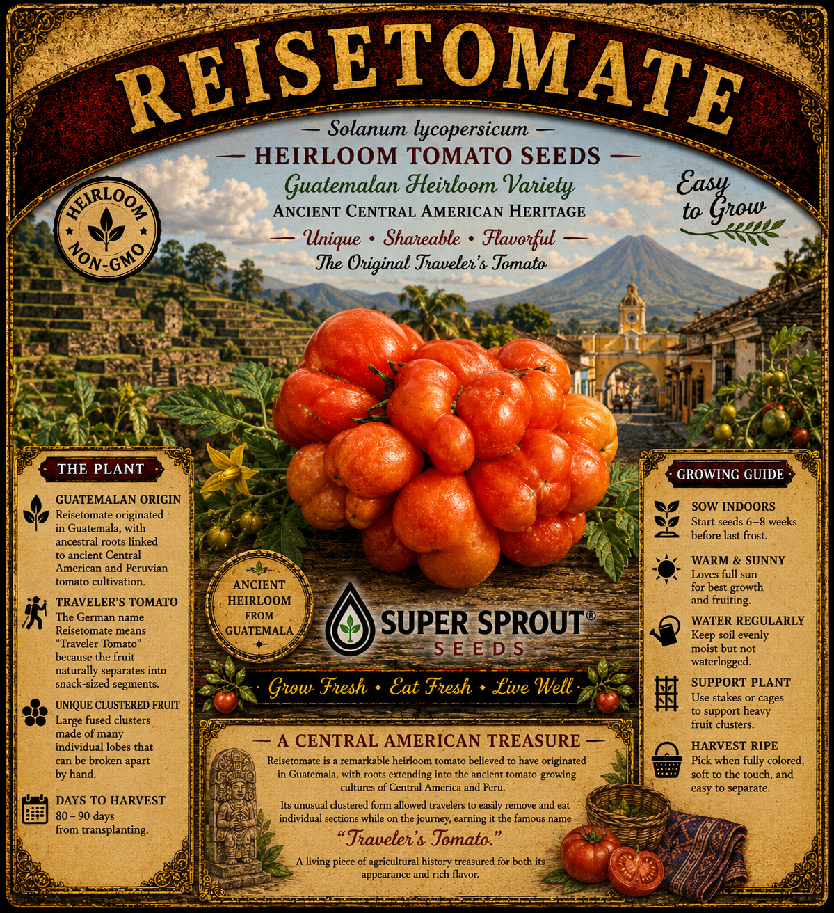 🍅REISETOMATE TOMATOES🍅 x 10 seeds_2