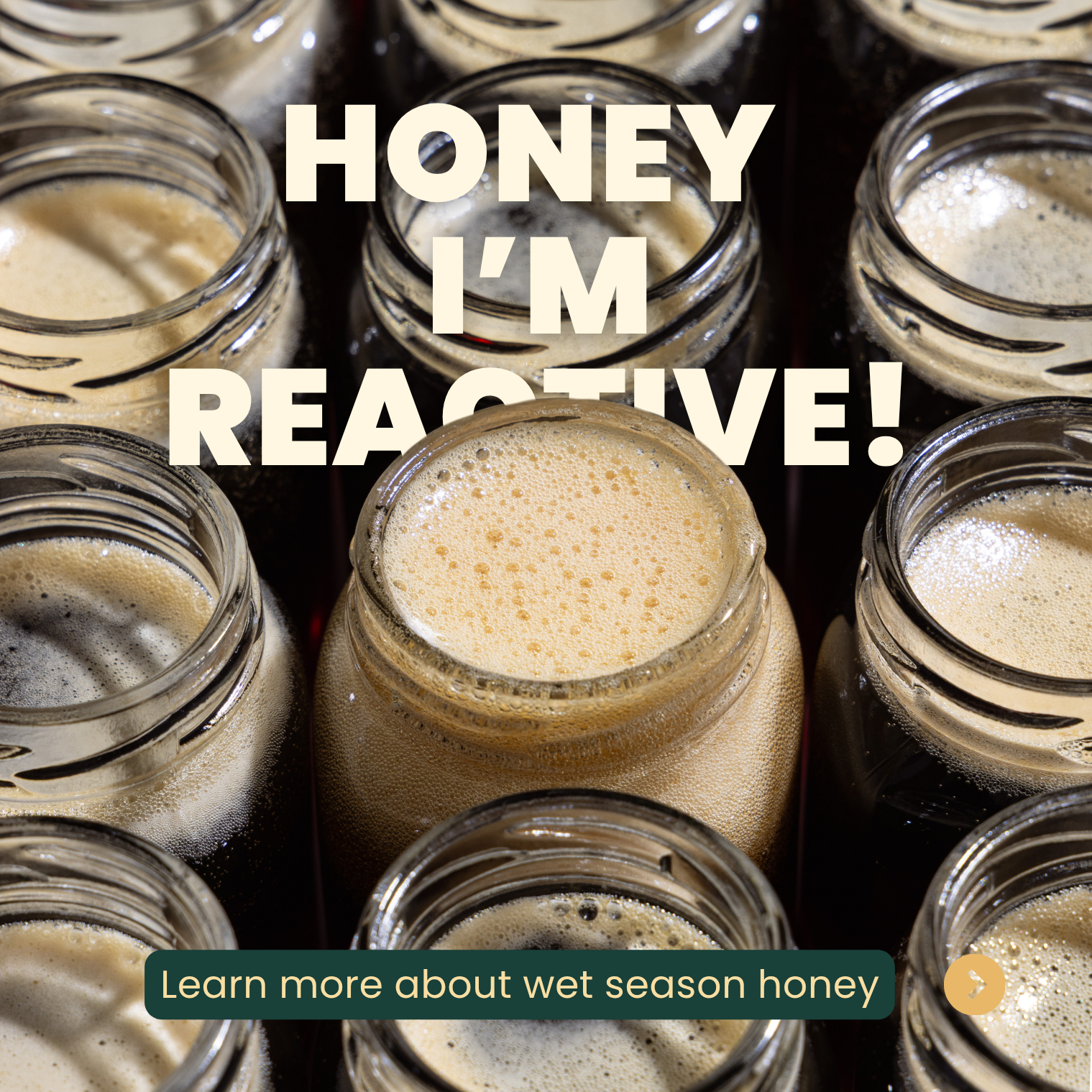 Fresh Harvest Tualang Honey (385g)_3