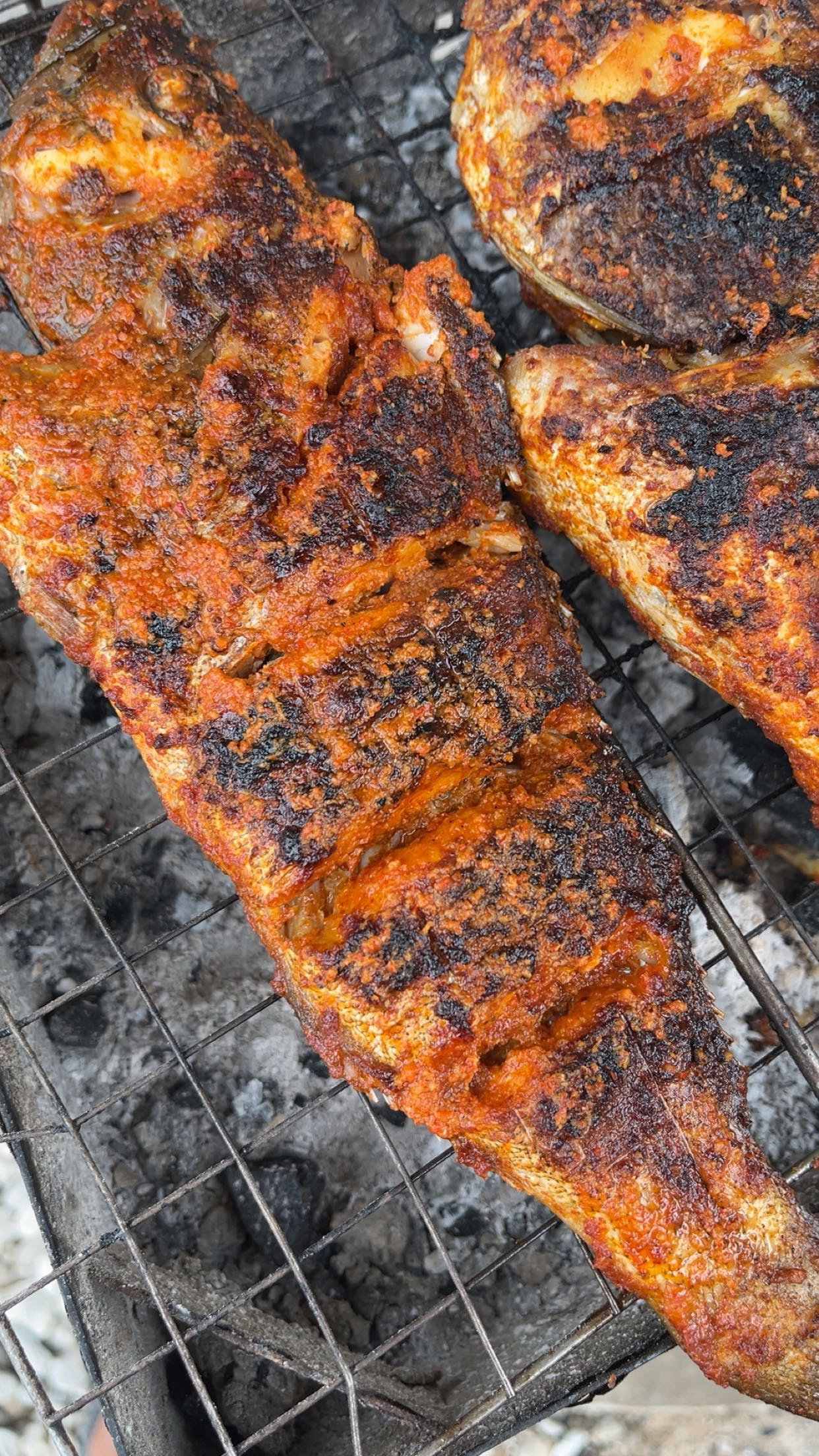 Grilled grouper _1