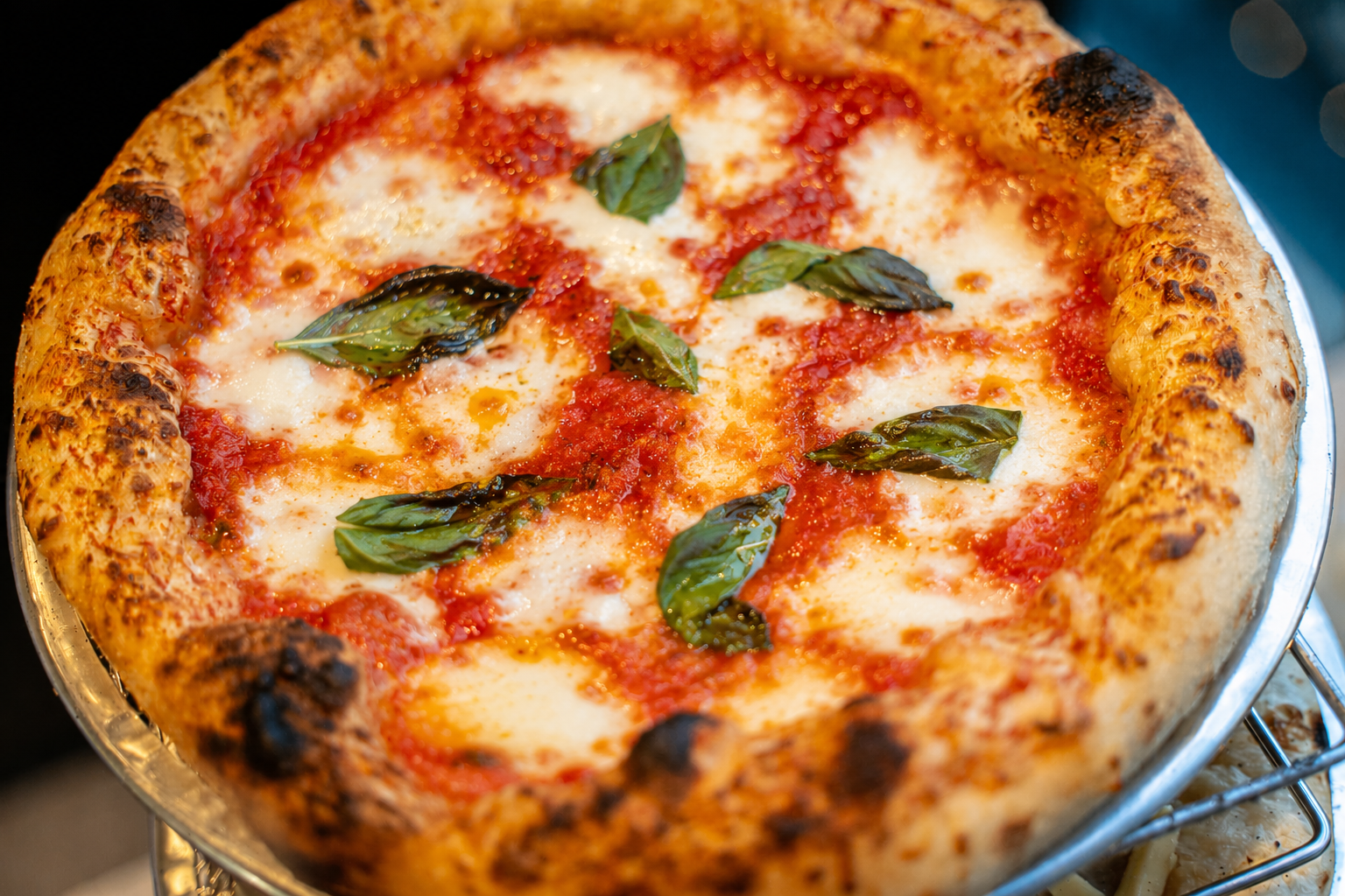 12" Margherita Pizza_0