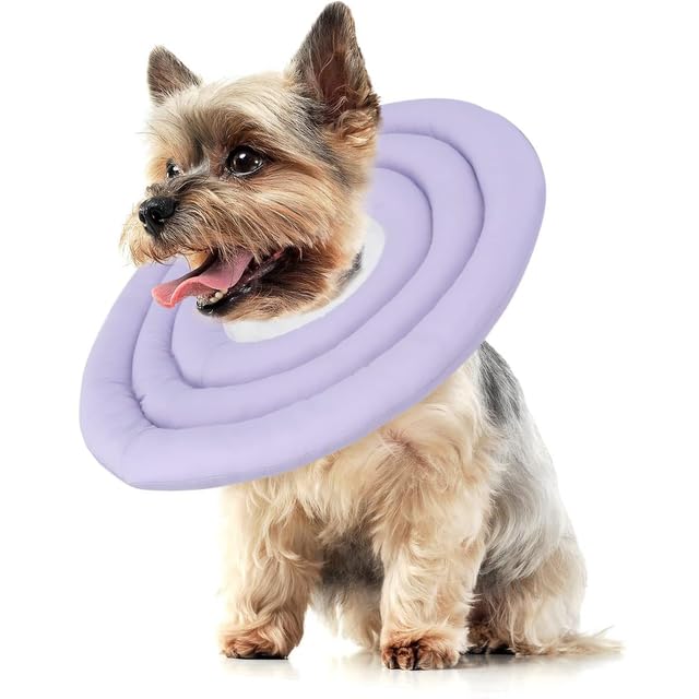 Emily pets E-collar