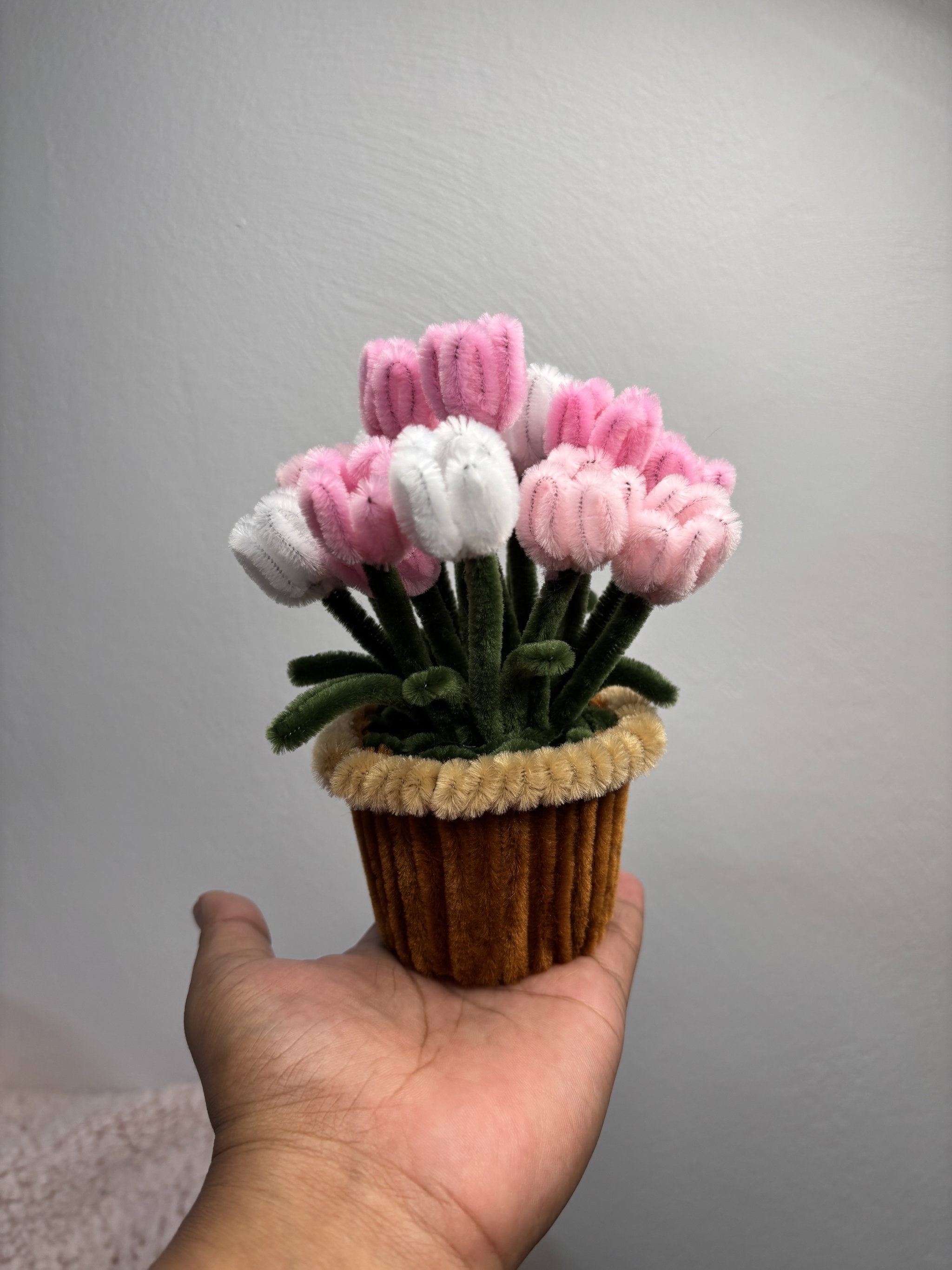 Pink tulips pot _0