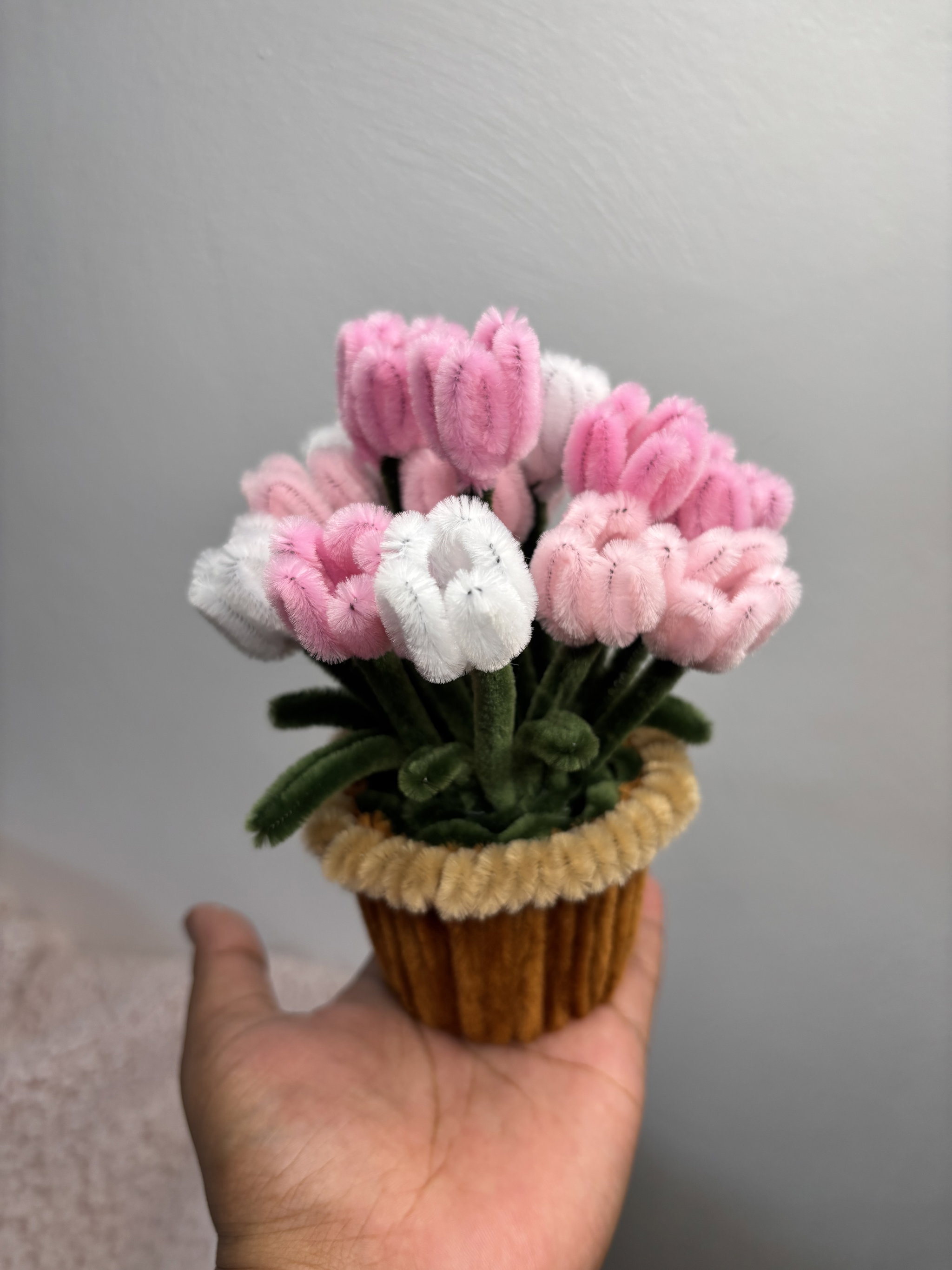 Pink tulips pot _1