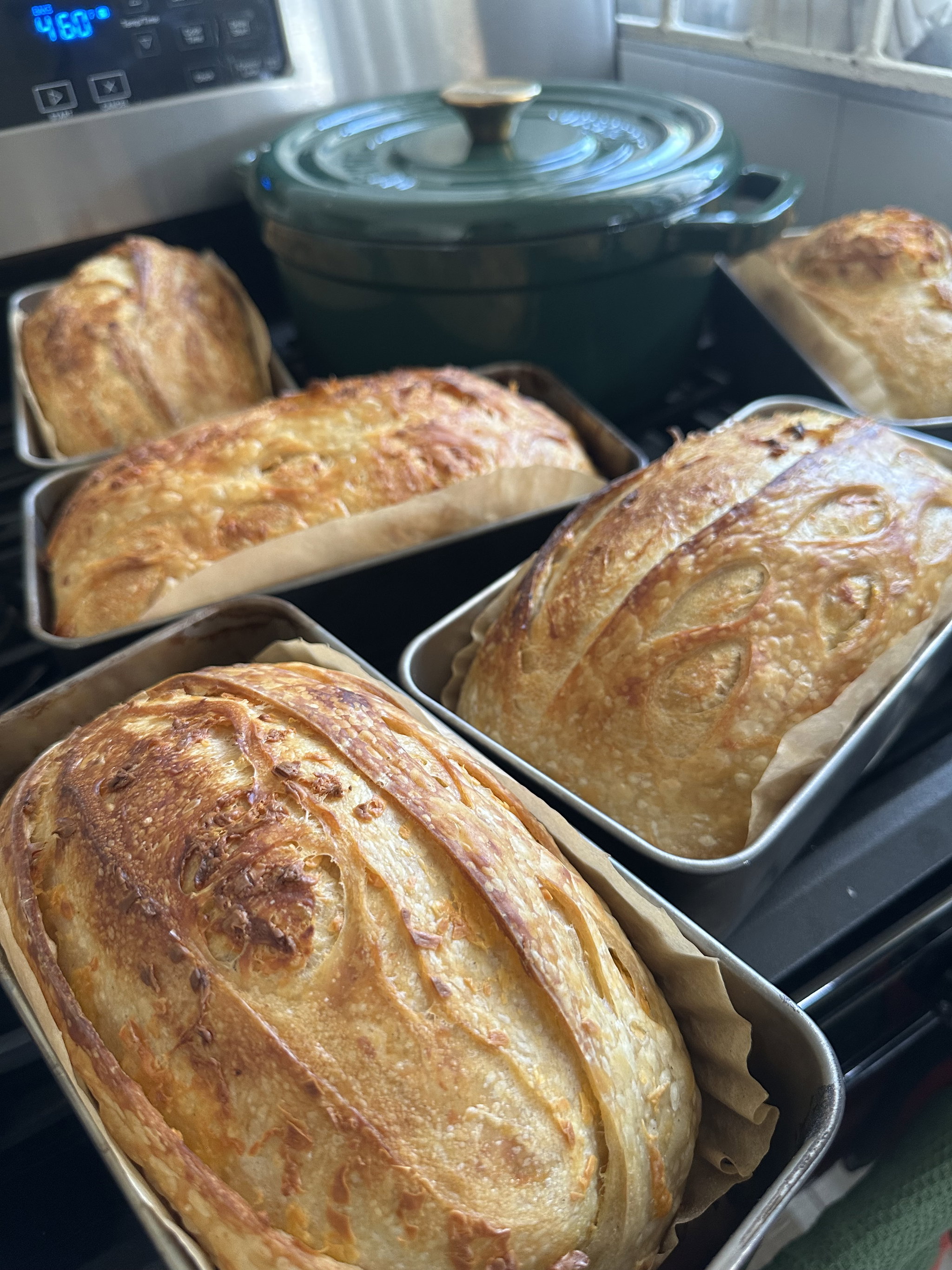 Garlic Cheddar Sourdough _0