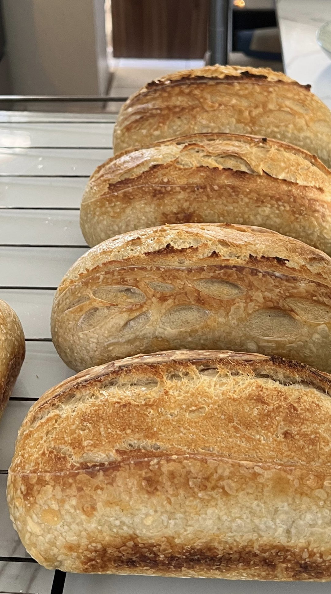 Classic Sourdough