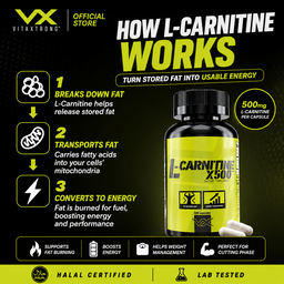 VITAXTRONG Fasting Shred Stack (CLA + L-Carnitine) | Fat Burner | Keto & Intermittent Fasting Support [VX]