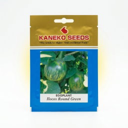 Eggplant Ilocos Round Green 3grams