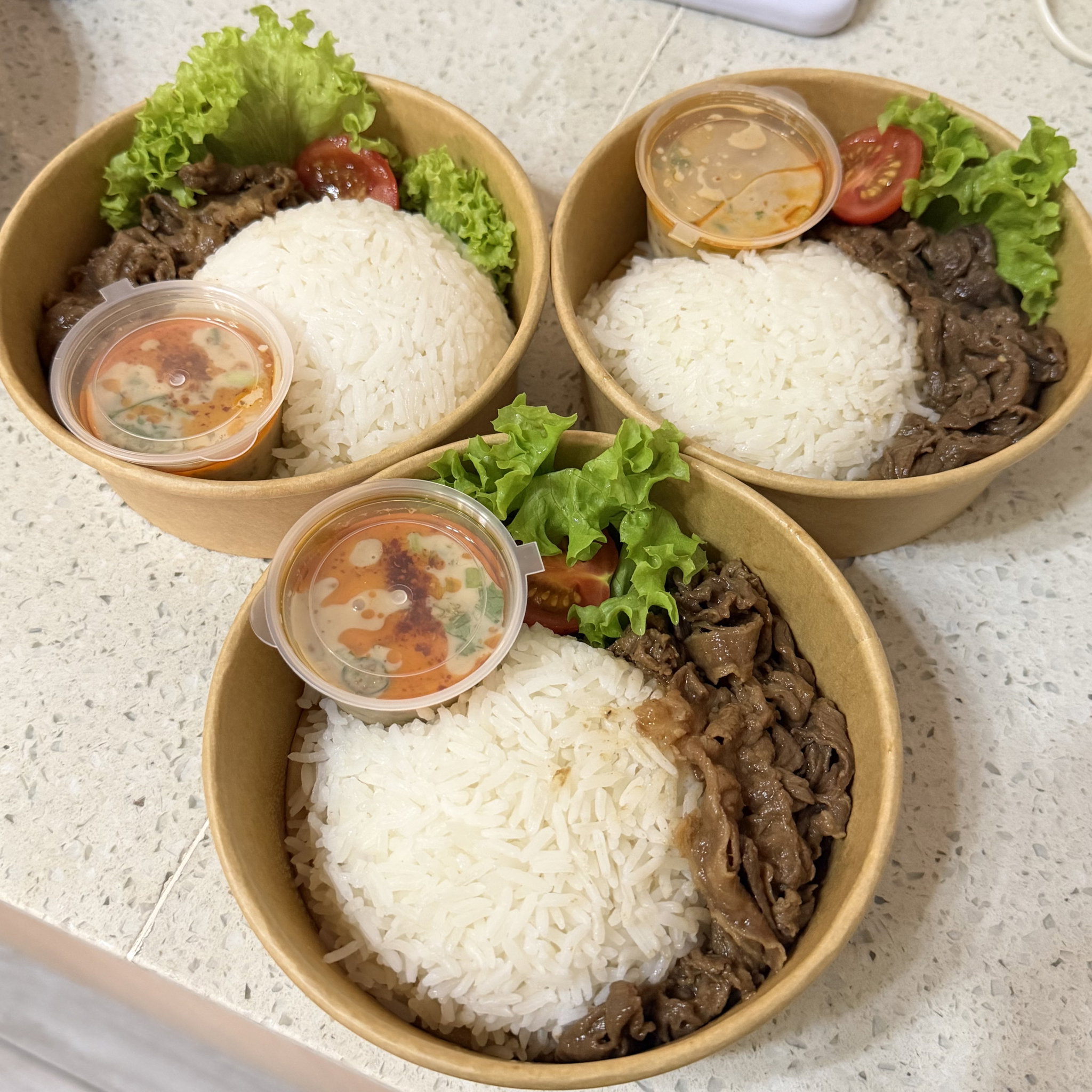 Sukiyaki Beef with Rice_0