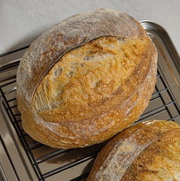 sourdough full loaf