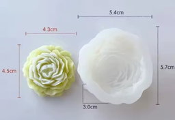 Molde Peonias