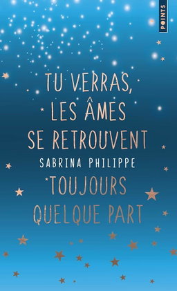 Fiction littéraire