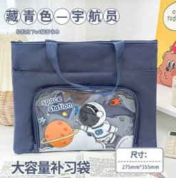 Tuition Bag